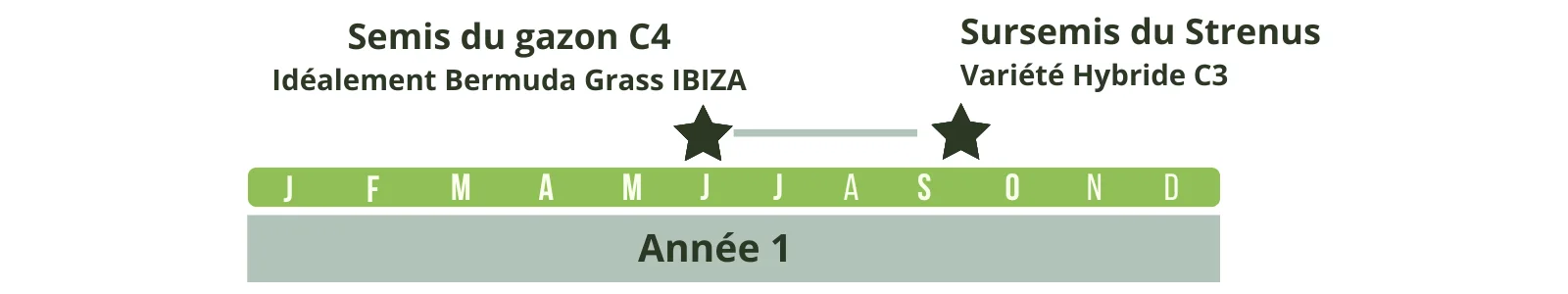 Calendrier d'implantation du Strenus et du cynodon dactylon